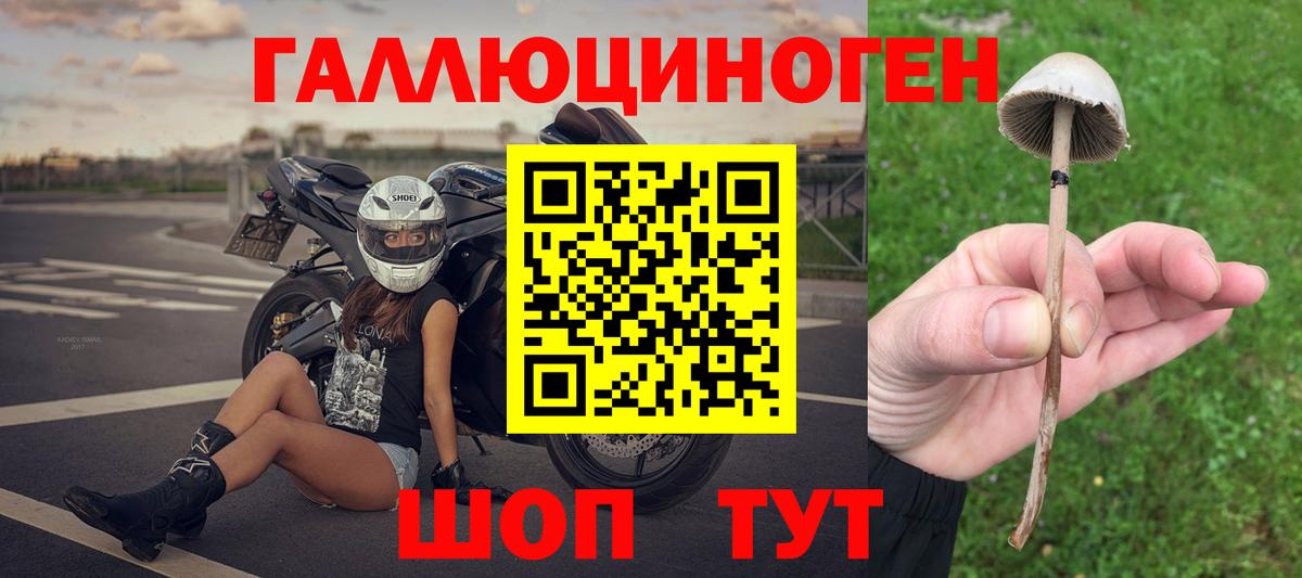 Галлюциногенные грибы Cubensis  наркота  Шебекино  Вход с VPN  Галлюциногенные грибы MAGIC MUSHROOMS 